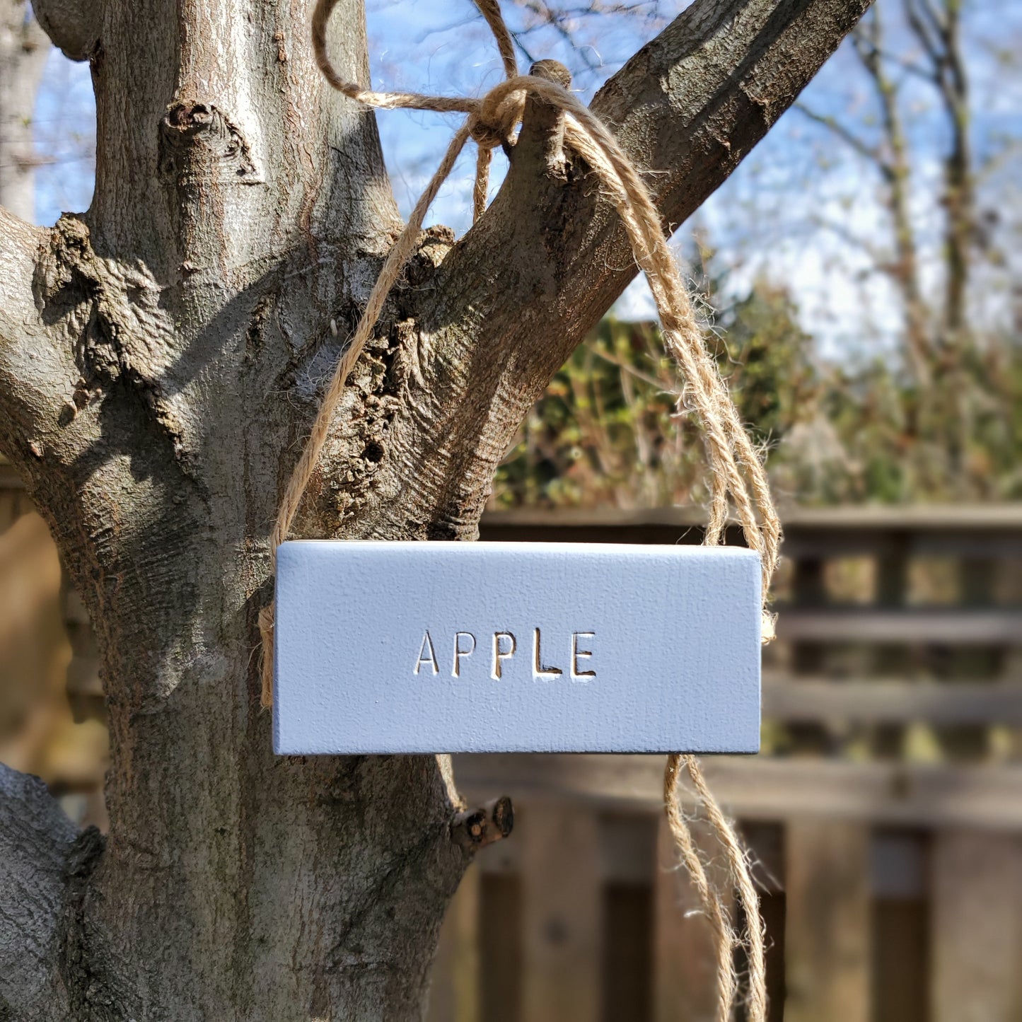 gray apple tree marker on a branch