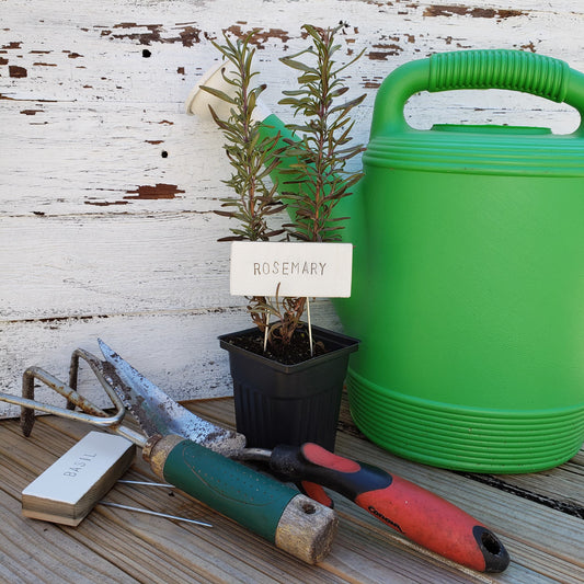 white rosemary garden marker in pot next to green water pail and  garden tools