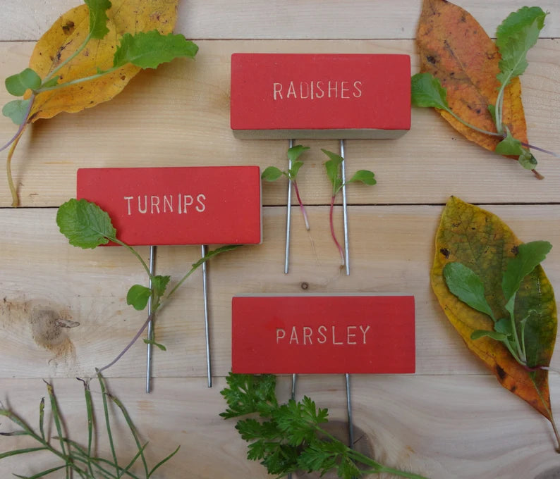 red vegetable markers